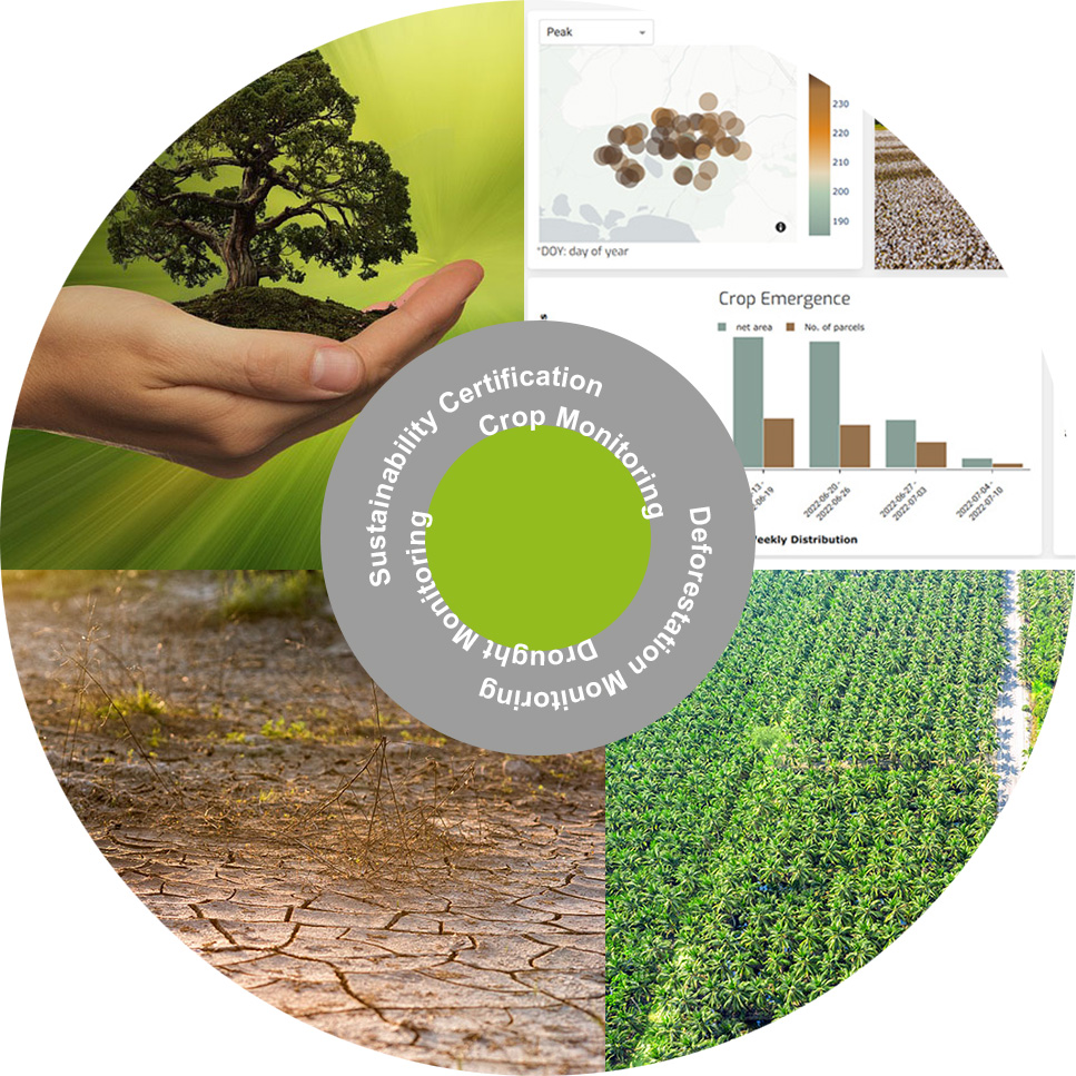 Collage representing the four focus areas of Geocledian in the field of satelite-based solutions for the agro-industry: Sustainability Certification, Deforestation Monitoring, Crop Monitoring and Drought Monitoring